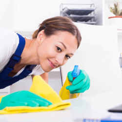 Standard+Cleaning
